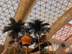 -杭州开元森泊度假乐园