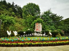 -广州白江湖森林公园