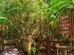 -七仙岭温泉国家森林公园