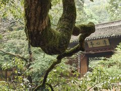 -天台山景区