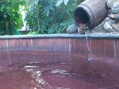 -黄山温泉国际旅游度假区