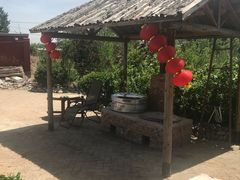 -白洋淀锅里口灶台鱼