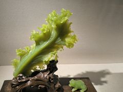 -大连自然博物馆