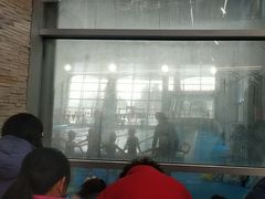 -美再晨游泳馆(新江湾店)