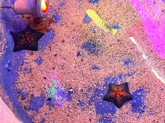 -秦皇岛新澳海底世界