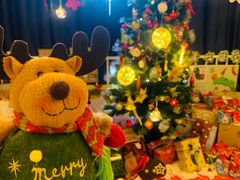 -卓悦童国际幼儿园