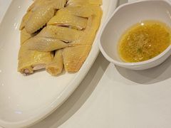 -金河半岛园林酒家(金融城店)