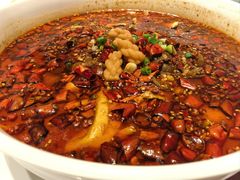 -南山翁新概念川菜(江宁万达广场店)