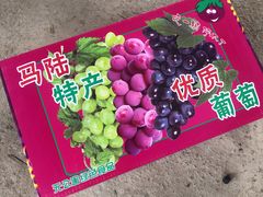 -马陆小张葡萄园农家乐