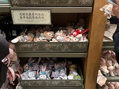 -迪士尼乐园停车场