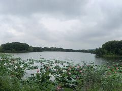 -上海市保健医疗中心