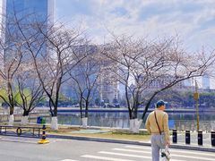 -西北湖绿化广场
