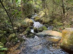 -梅州天地人花园酒店(梅县人民广场店)
