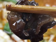 黑木耳-夏远兰早点店