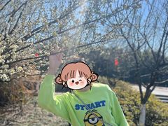 -杏花村文化旅游区
