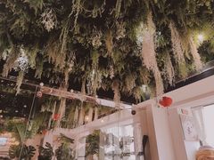 -Husky Go! 哈士奇体验馆·宠物咖啡厅狗咖