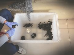 -蟹都汇(旗舰店)