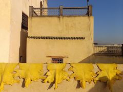 -穆莱拉赫制革厂