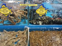 -海铺·渔家虾水饺(皇姑店)