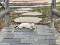 -侨乡