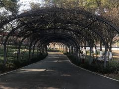 -汉水公园