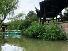 -绍兴镜湖国家城市湿地公园
