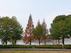 -羊山湖公园