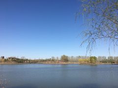 -东郊湿地公园