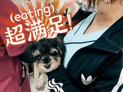 -瑞鹏宠物医院·爱宠堂(环西分院)