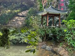 -水濂山森林公园