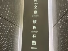 -上海中心大厦