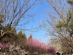 -元大都城垣遗址公园