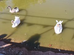 -北京鹿世界主题园