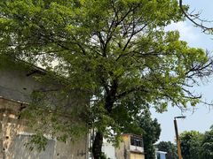 -广州市紫泥堂文化创意园景区