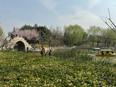-团结湖公园