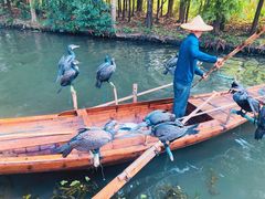 -溱湖国家湿地公园