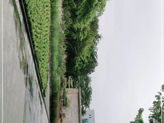 -映月湖公园