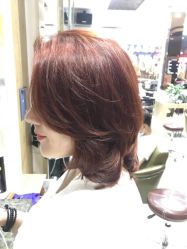 -环球蝶上美业连锁