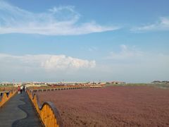 -红海滩国家风景廊道