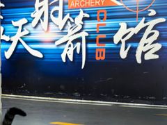 -蓝天射箭馆·专业射箭运动(诚丰广场店)