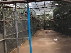 -呀路古热带植物园