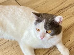 -More than cafe·置外咖啡