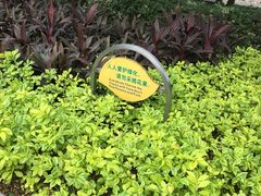-晓港公园