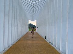 -风云岭森林公园