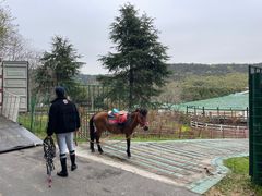 -苏州环秀晓筑养生度假村