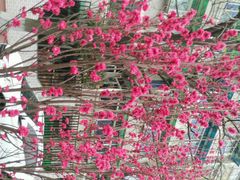 picture-张胡李四季虾玲珑(竞舟路店)