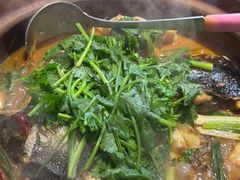 -九道菜有鸡鱼头(石鼓路店)