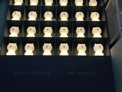 -line friends(明洞旗舰店)