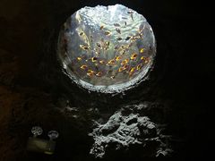 -珠海长隆海洋王国