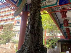 -大明幻境第一城